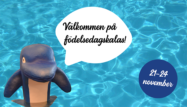 Bakgrund av poolvatten. En delfin med pratbubbla "välkommen på födelsedagskalas" samt en blå cirkel med datumen 21-24 november.